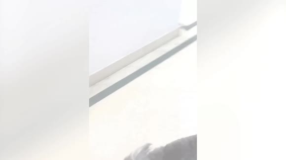 temp