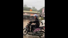 Motorist Fails To Watch Road