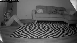Jealous Bunny Throws A Tantrum