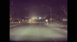 Trucker Stumbles Backwards Into Traffic