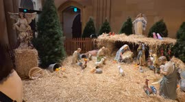 Crowds visit St Mary’s Cathedral for Christmas lights display in Sydney, Australia