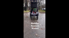 French bulldog enjoys farmers market in a stroller dressed in holiday clothes