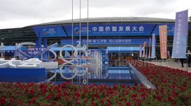 Chinese language learning market shows great potential, says expert