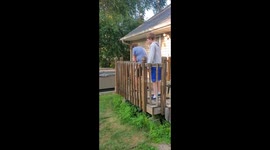 Sons Help With Demo Day