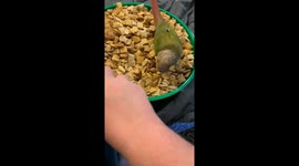 This Mix Belongs To Kiwi