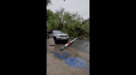 Storm's fury: tree uprooted, damaging parked vehicle in Liniers, Buenos Aires