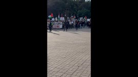 Palestine Protest gathering in California with no edits