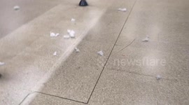 At London Bridge Underground Station a Christmas gift lays on the floor with it's stuffing out