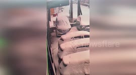 Owner slips on icy driveway and sends cat flying in the air