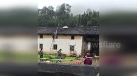 Worker pokes runaway pig with pole to pull it down from roof