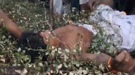 Bizarre tradition sees men roll on bed of thorny bushes in central India