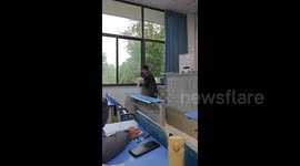 A cat a gentle shooing out from classroom in Chongqing, China