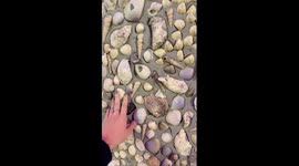 The Christmas tree is made from more than 1 million seashells and snails