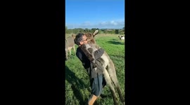Marco embraces Luna: heartwarming moment in Sardinia