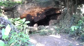 Monfort Bat cave