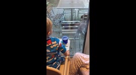 Squirrel tries to jump through closed patio doors