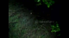 Spider Web Part 3