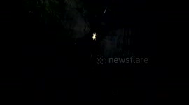 Spider Web Part 5