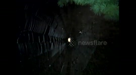 Spider Web Part 7