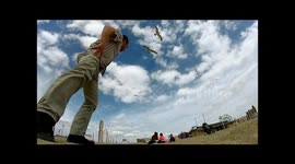 Coney Island Seagull Steals GoPro