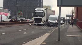 Rogue swan blocks traffic on Manchester road