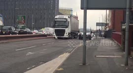 Rogue swan blocks traffic on Manchester road