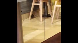 Large rat 'spotted in KFC branch' in Belfast