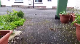 Sudden hail storm hits Aylesbury, UK