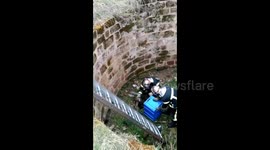 Firefighters rescue baby ferret from old well