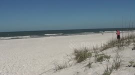 Shockingly sad situation on Gulf Beaches in Florida: tons of dead fish and stench. Red tide to blame?