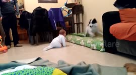 Dog completely baffled by human baby