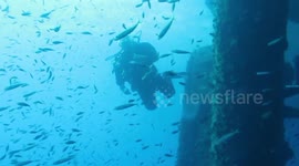 The underwater life of a working US oil rig is amazing