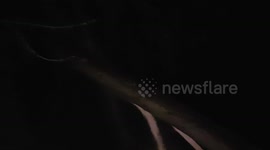 Strong wind Snaps huge tree in half and it's just standing still