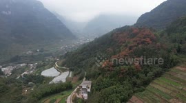 Rural revitalization in China's Yunnan driven by bamboo industry