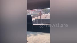 Drug-crazed local sparks alarm taking naked stroll around town in Thailand