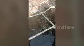 Leopard rescued after it fell into well in central India