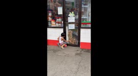 Store Pups Want to Play With Boy