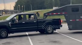 The Whole Farm Goes for a Road Trip
