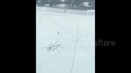 Snow art depicting spider on a web in Shandong, China