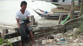 Loyal pet dog accompanies trawler on fishing trips