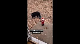 Bears Meet Dancing Santa
