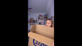 Cat Launches Surprise Attack From Cardboard Box