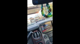Can Cracks Windshield After Car Honk Startles