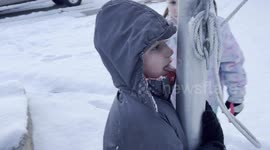 Tongue Gets Stuck To Flagpole