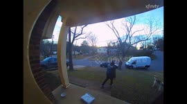 Porch Pirate Pooch Steals Package Off Porch