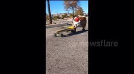 Santa Bulldogs' Season To Shred