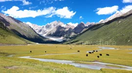 Livestreaming e-commerce helps increase rural incomes in China's Xizang