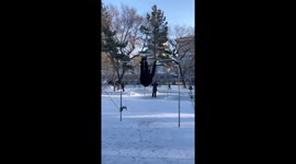 Energetic Chinese Pensioner Showcasing Horizontal Bar Skills Amazes Passersby in Park