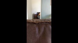 Mom Runs Into Tape in the Doorway