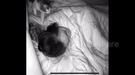 Cat Getting Under Covers to Cuddle with Sleeping Owner in Suzhou, China